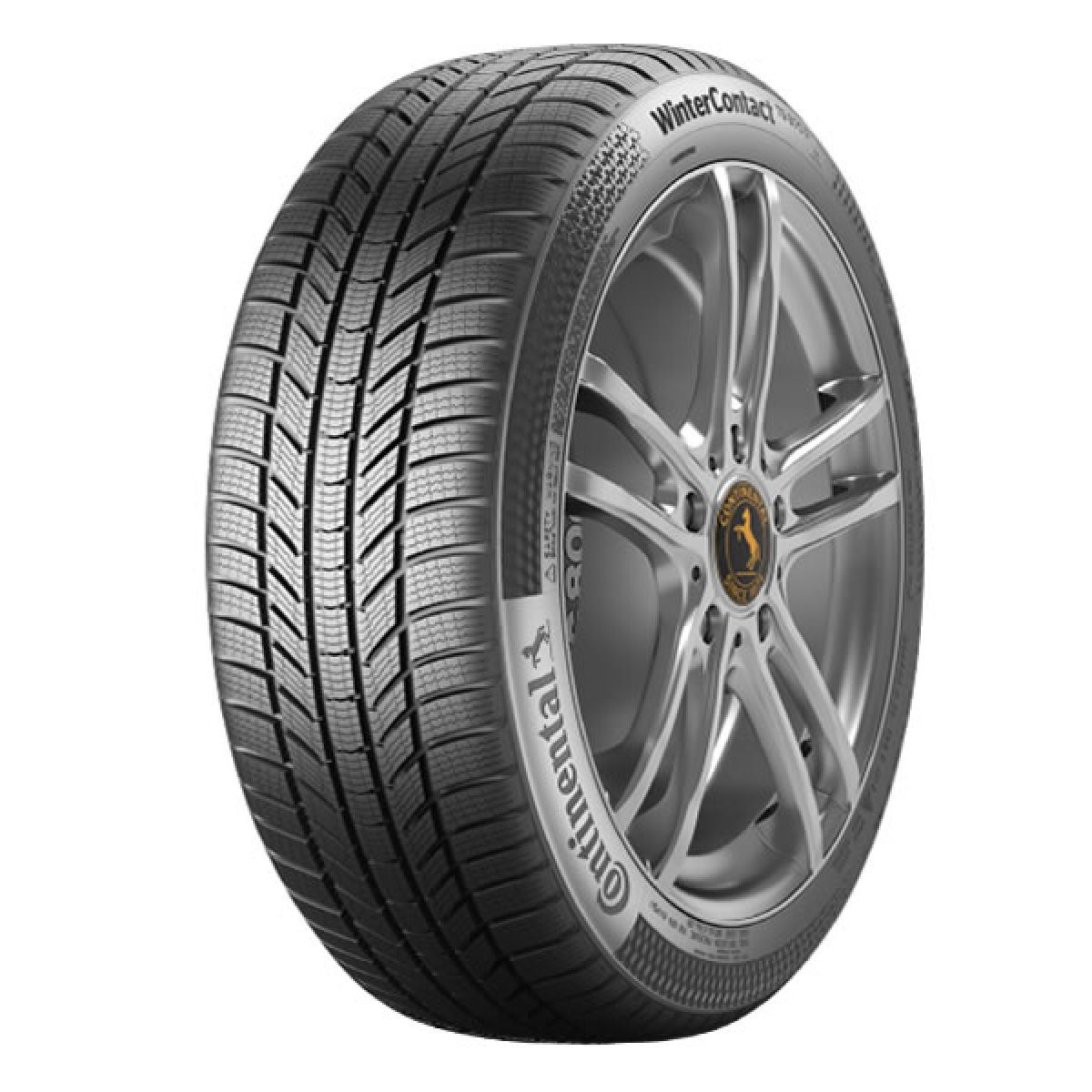 225/55R18 CONTINENTAL Conti Win TS 870 P 102V XL FR
