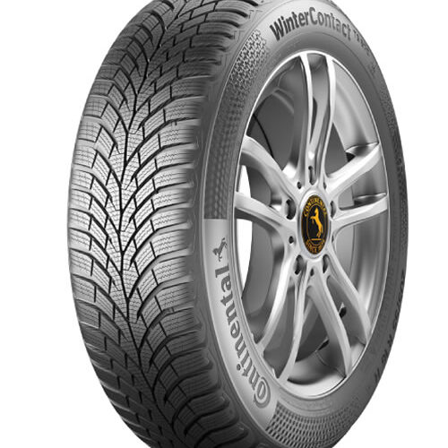 175/70R14 Conti Win TS 870 84T