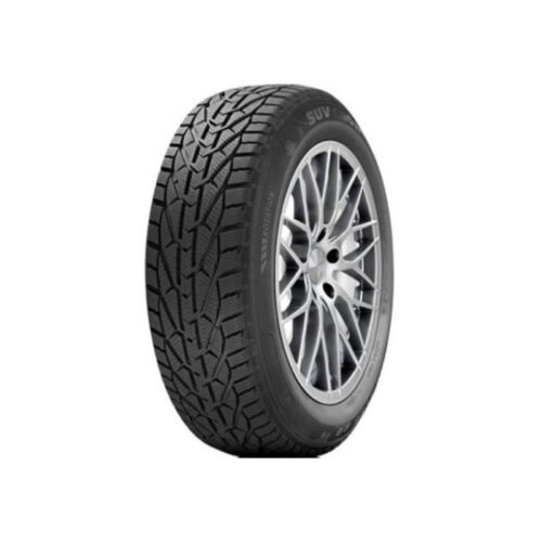 205/45R17 WINTER 88V XL