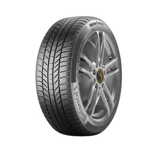 215/60R18 Conti Win TS 870 P 98H