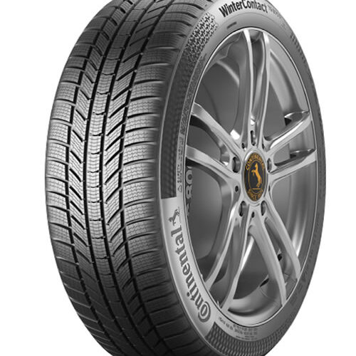 255/40R21 Conti Win TS 870 P 102T XL FR