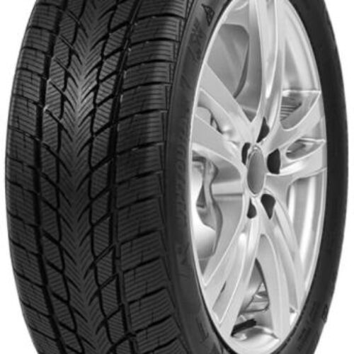 255/50R19 Davanti 107V Wintoura SUV zim